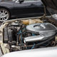 Illustration for article titled Here Is Your Gigantic Jalopnik Hurricane Relief Car Show Photo Gallery
